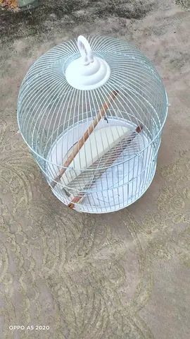 Cage only