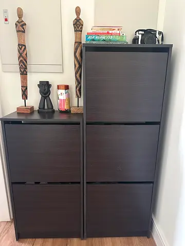 2&3 Door Shoe Cabinet (Ikea)
