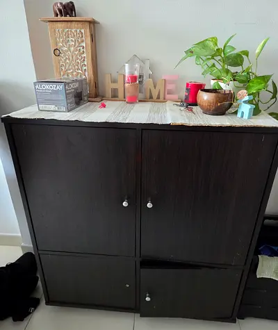 Dark Wood Storage Cabinet with Doors