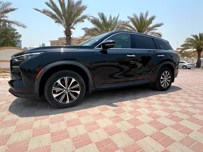 2024 Infiniti QX60 照片 3