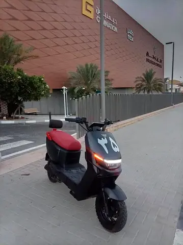 Electric Scooter with Red Seat and Backrest
