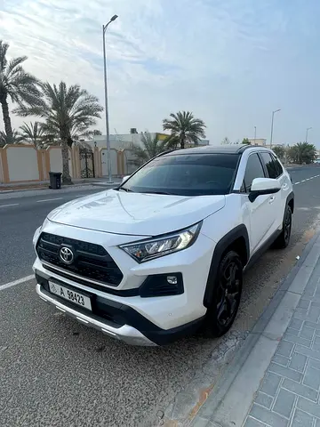 2024 Toyota RAV 4 照片 12