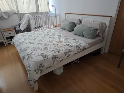 Queen Bed and mattress