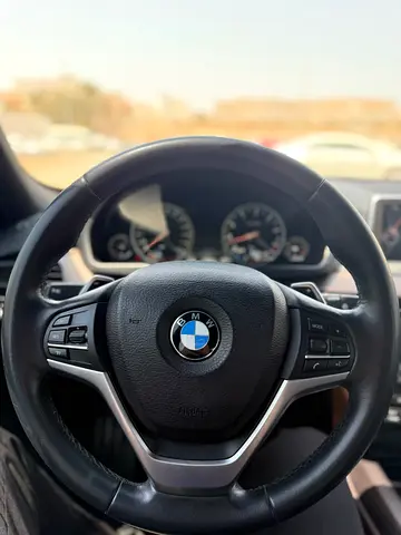 2016 BMW X5 — миниатюра 12
