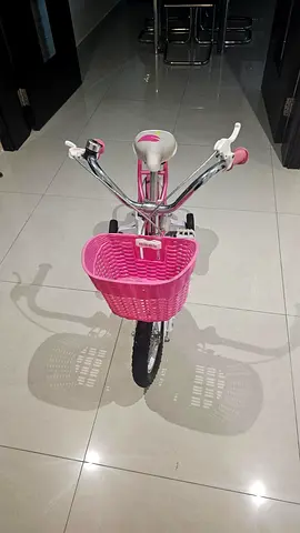 Pink Bicycle