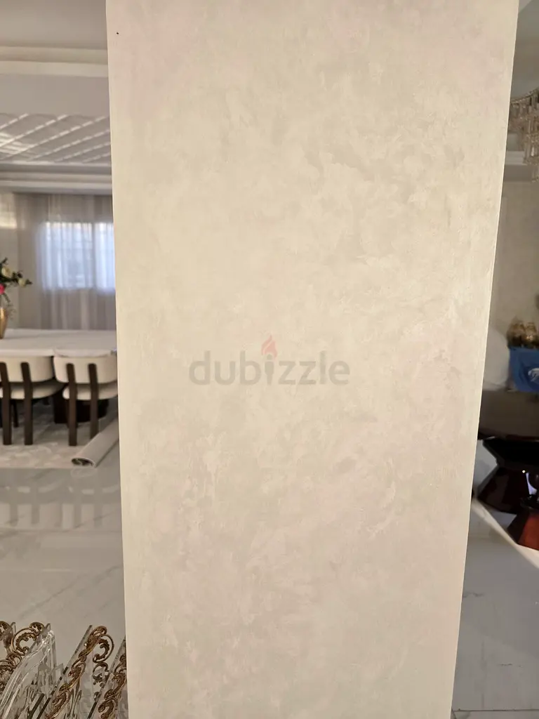 DPV_View_Image_2