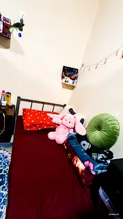 Ladies Partition – All Bills Included