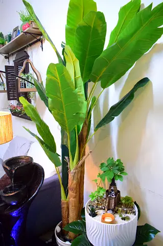 Homekode Artificial plant 170 cm height