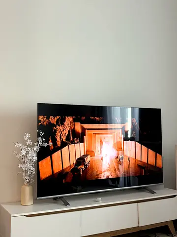 TOSHIBA TV 65 inch LIKE NEW 10 month old only
