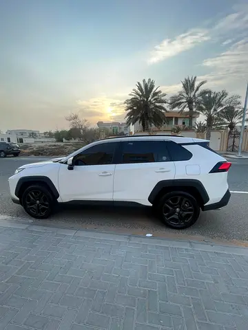 2024 Toyota RAV 4 照片 19