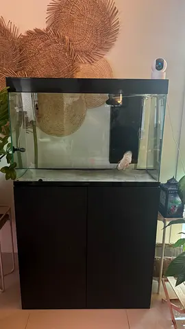 Ciano Aquarium 80cm with Cabinet