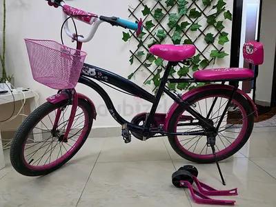 Girls 20-inch Cruiser Bike with Basket and Training Wheels - Good Condition