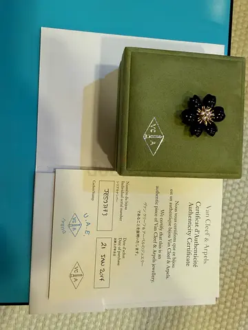 Van Cleef &Arpels clip pendant