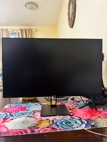27 inch LED Flat Panel Monitor- Good Condition