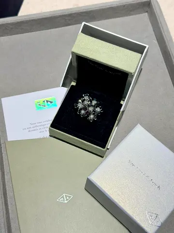 Van Cleef & Arpels vintage snowflake diamond brooch in box