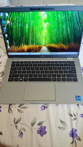 DELL LATITIUDE 5420
