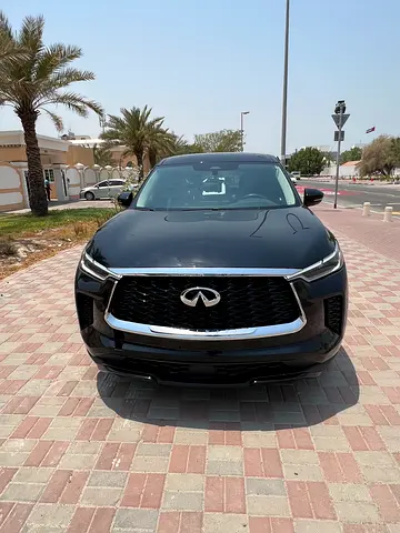 2024 Infiniti QX60 照片 1