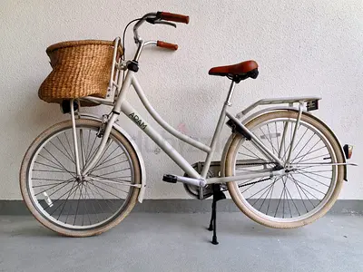 Classic 26" ADAM Dutch Style City Bicycle with Front Wicker Basket