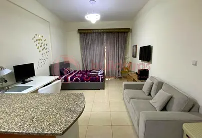 Furnished Studio | Road View | Near Future Metro