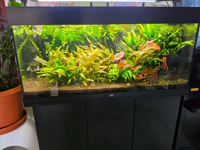 JUWEL Rio 180 Complete Planted Aquarium Setup
