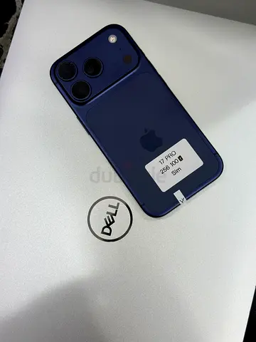 17 Pro 256 Sim