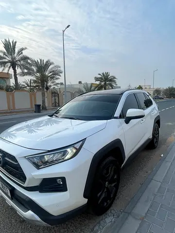2024 Toyota RAV 4 照片 1