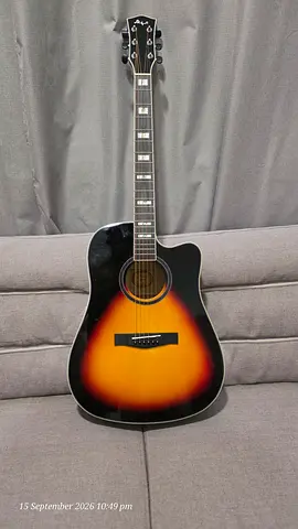 Brand new guitar for sale