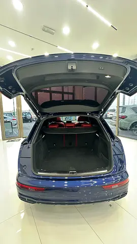 2018 AUDI SQ5 photo 16