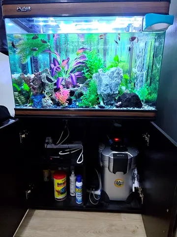 Complete 120L Aquarium with Stand, Canister Filter and Accessories