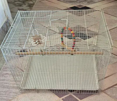 Birds cage for sale