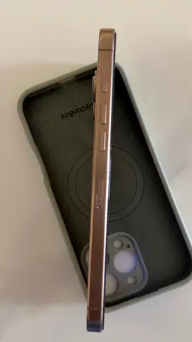 iPhone 16 Pro Max 256 GB UAE