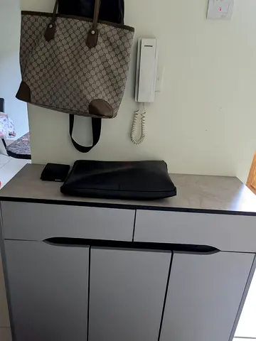 Gray Sleek shoe cabinet