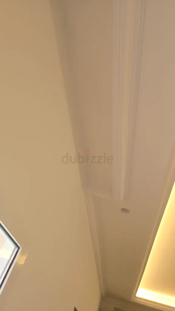 DPV_View_Image_3