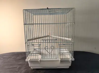 Bird cage for sale ❗️❗️