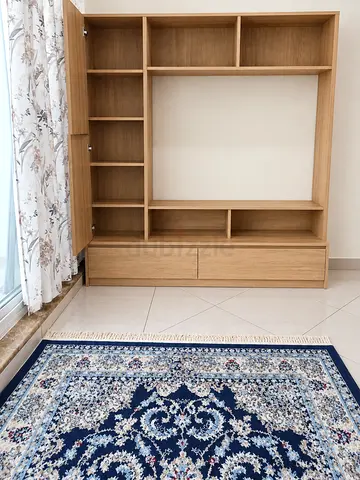 TV unit