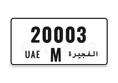 M20003