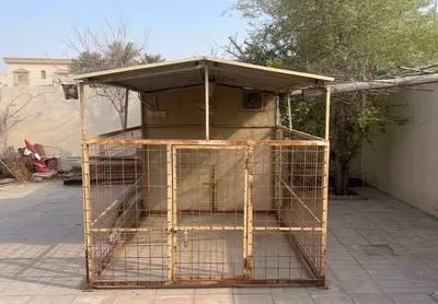 Large dog/kennel house with shaded roof cage