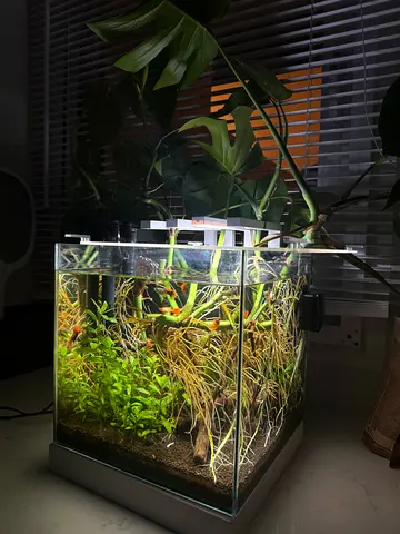 Fish tank