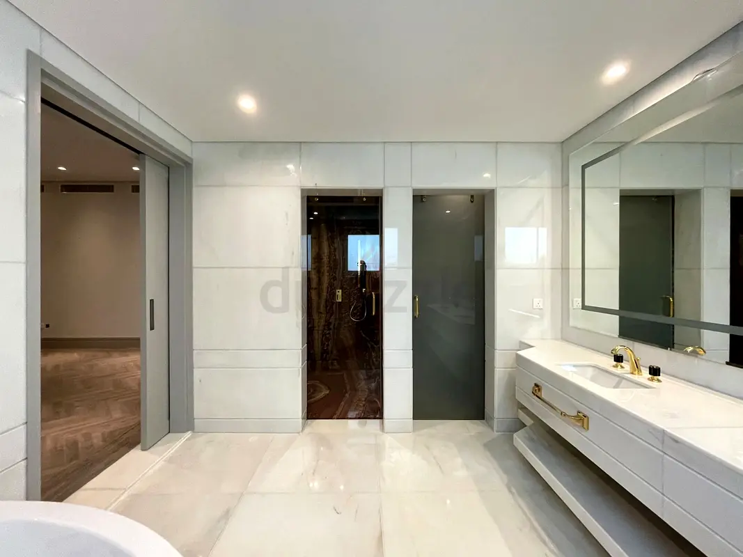 DPV_View_Image_4
