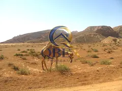 Premium Villa Plot Opportunity | Umm Al Quwain | GCC Buyers | 75 Per Sq. Ft.