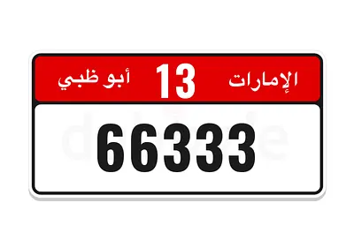 66333 - 13