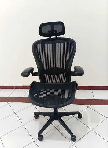 For Sale Herman Miller Aeron Chair With Headrest — Good Condition