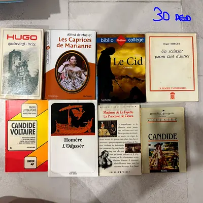 Collection of French Literature Classics (10 books) - Voltaire, Hugo, Homère, More