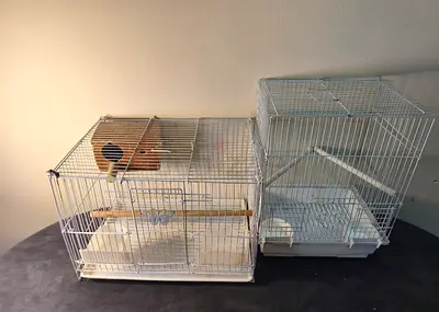 Bird cage