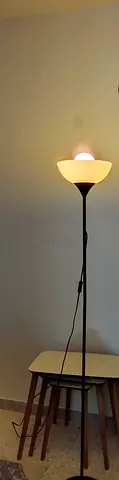 Simple black floor lamp with upward torchiere light