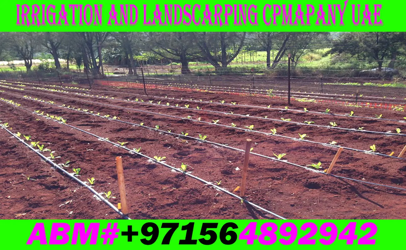 DPV_View_Image_3