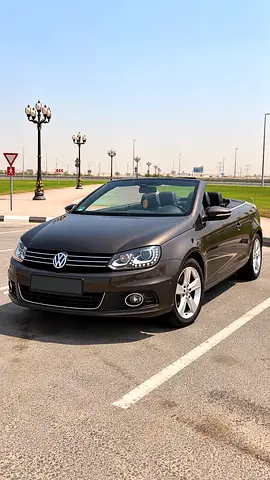 2013 Volkswagen EOS 照片 10