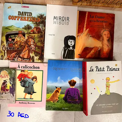 Collection of 8 Children’s and Classic Books (French & English) - mixed titles, good condition