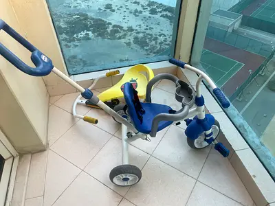 Little Tikes Ride and Learn 3 in 1 Bike