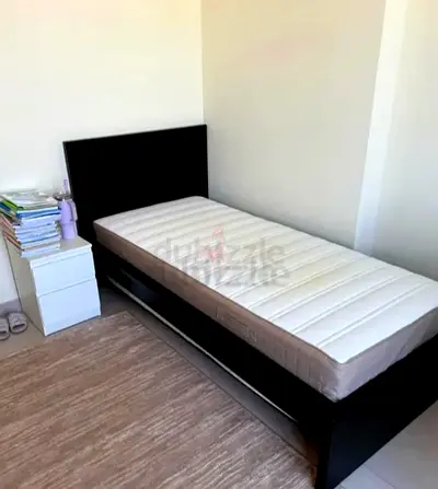IKEA Single Bed +  Mattress
